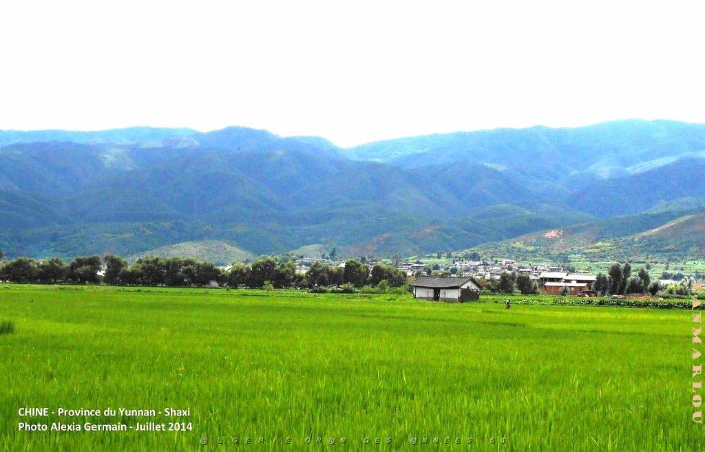060 - Shaxi.JPG
